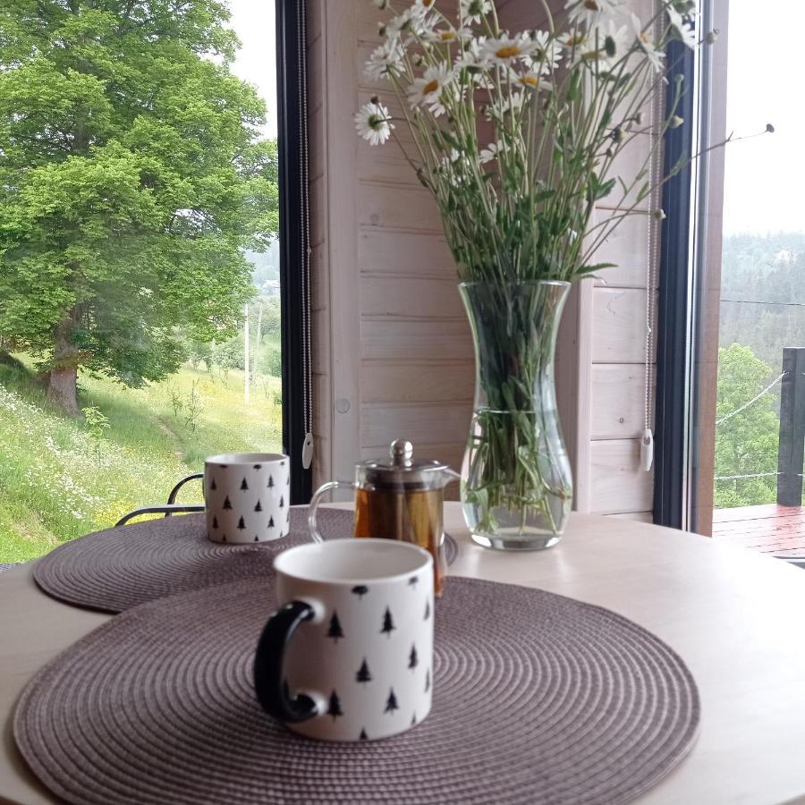 Ecottage Котедж Для Двох У Горах Із Чаном-Джакузі Slavsko Exterior foto