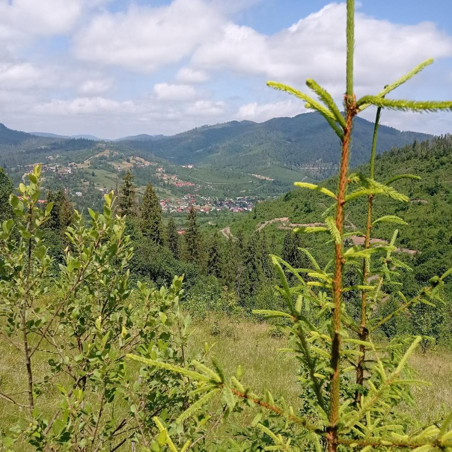Ecottage Котедж Для Двох У Горах Із Чаном-Джакузі Slavsko Exterior foto